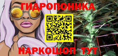 стаф Малгобек