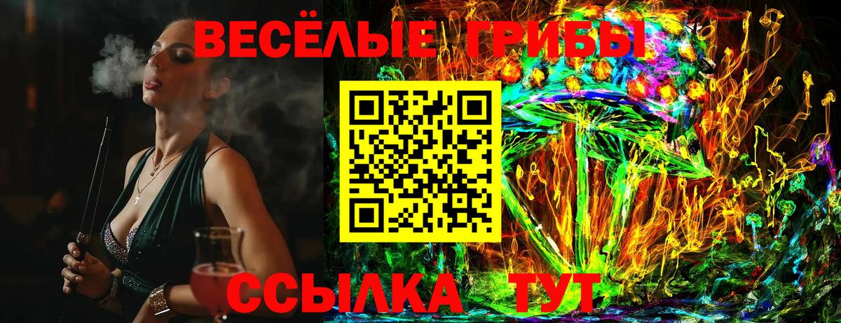 Псилоцибиновые грибы прущие грибы  Галлюциногенные грибы MAGIC MUSHROOMS  Ярославль  цены наркотик  Вход с VPN 