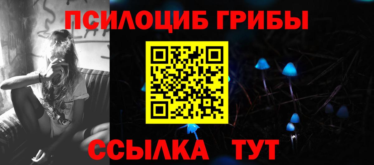 Псилоцибиновые грибы GOLDEN TEACHER Ярославль